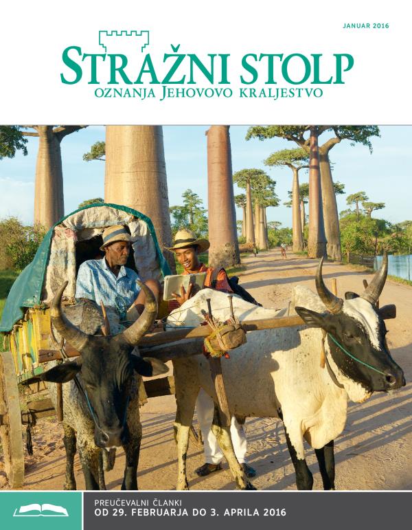 Preučevalna izdaja Stražnega stolpa, januar 2016