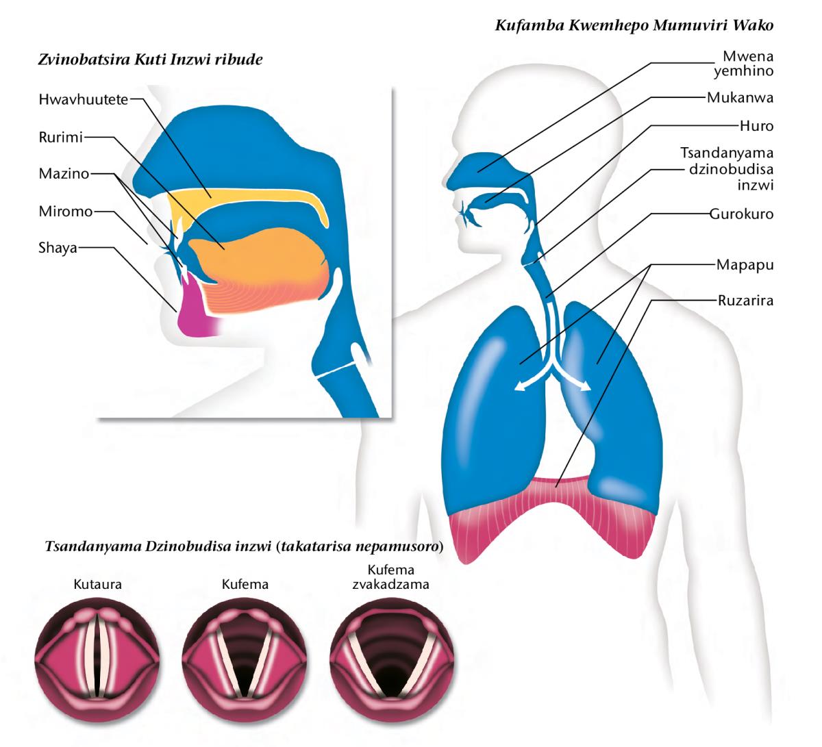 Dhiagramu riri papeji 183
