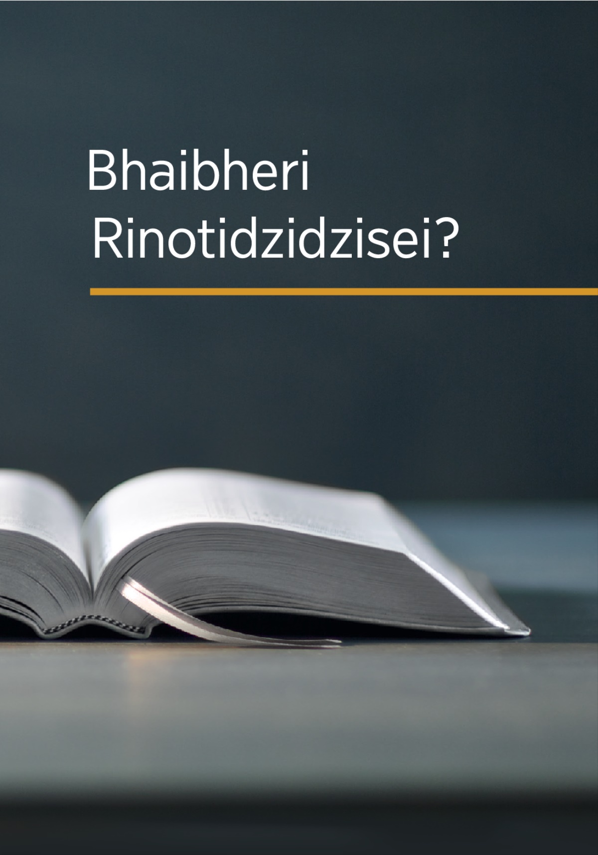 Bhaibheri Rinotidzidzisei?