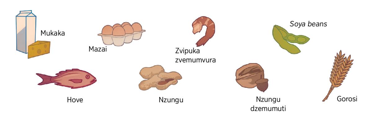 Mukaka, mazai, zvipuka zvemumvura, soya beans, hove, nzungu, nzungu dzemumuti, uye gorosi