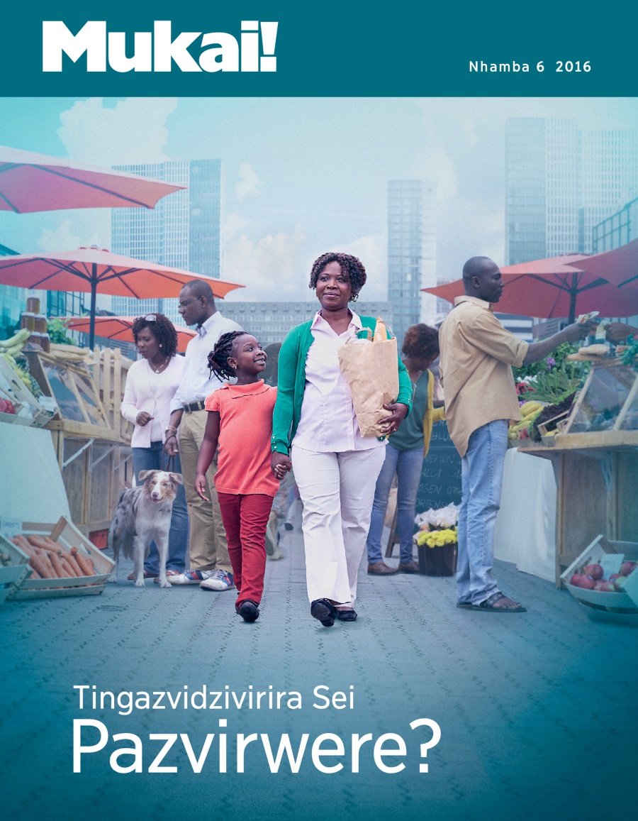 Magazini yeMukai!, Nhamba 6 2016 | Tingazvidzivirira Sei Pazvirwere?