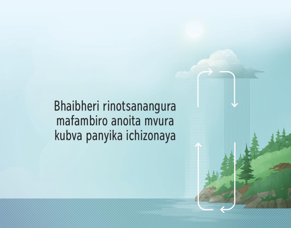 Bhaibheri rinotsanangura mafambiro anoita mvura kubva panyika ichizonaya. Mufananidzo uri kuratidza mafambiro anoita mvura ichibva panyika yoita makore yozonayazve.
