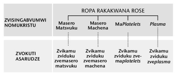 Chati iri papeji 216