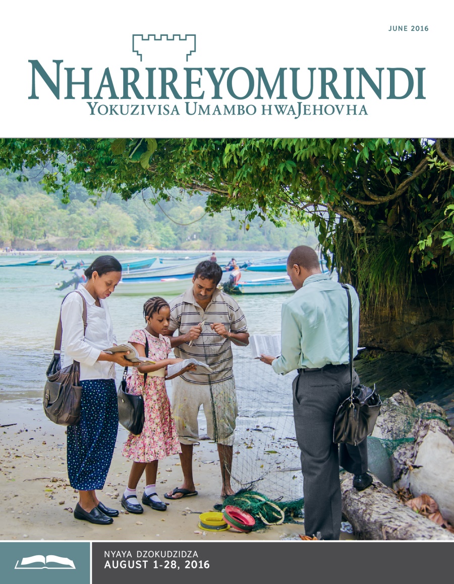 Nharireyomurindi Yokudzidza, June 2016