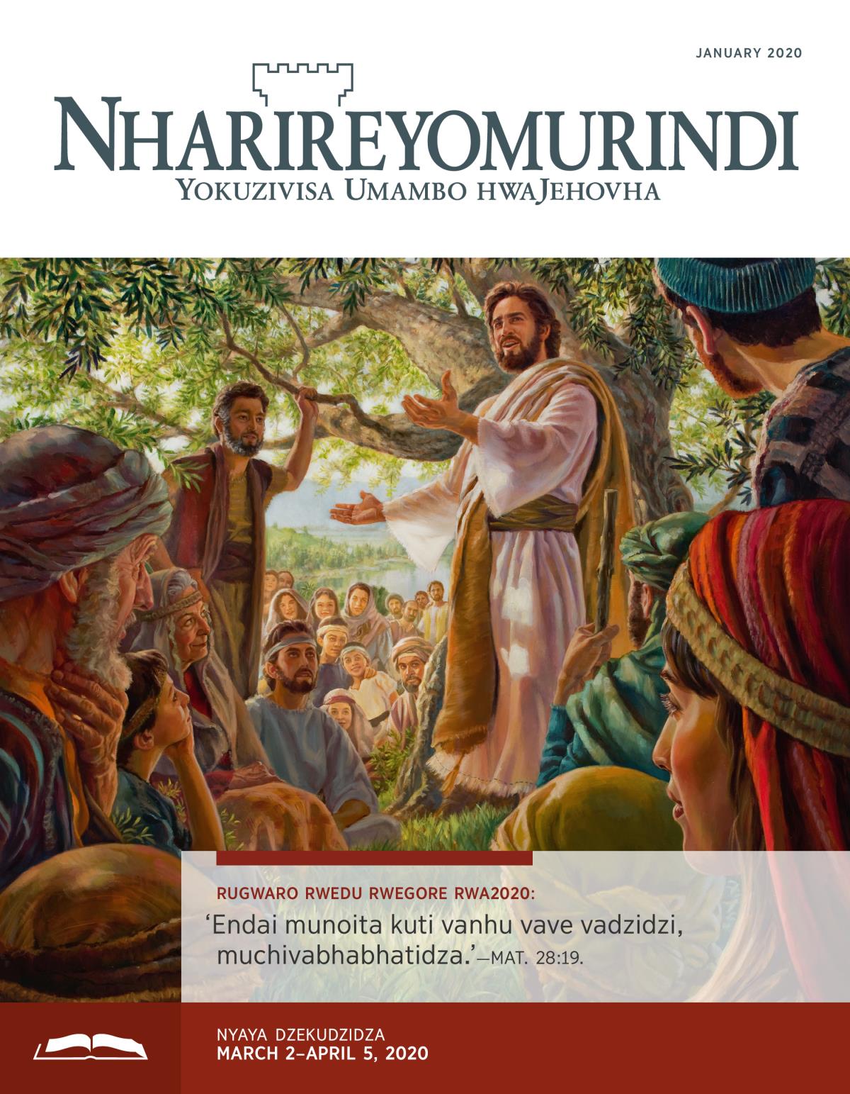 Nharireyomurindi Yekudzidza, January 2020.