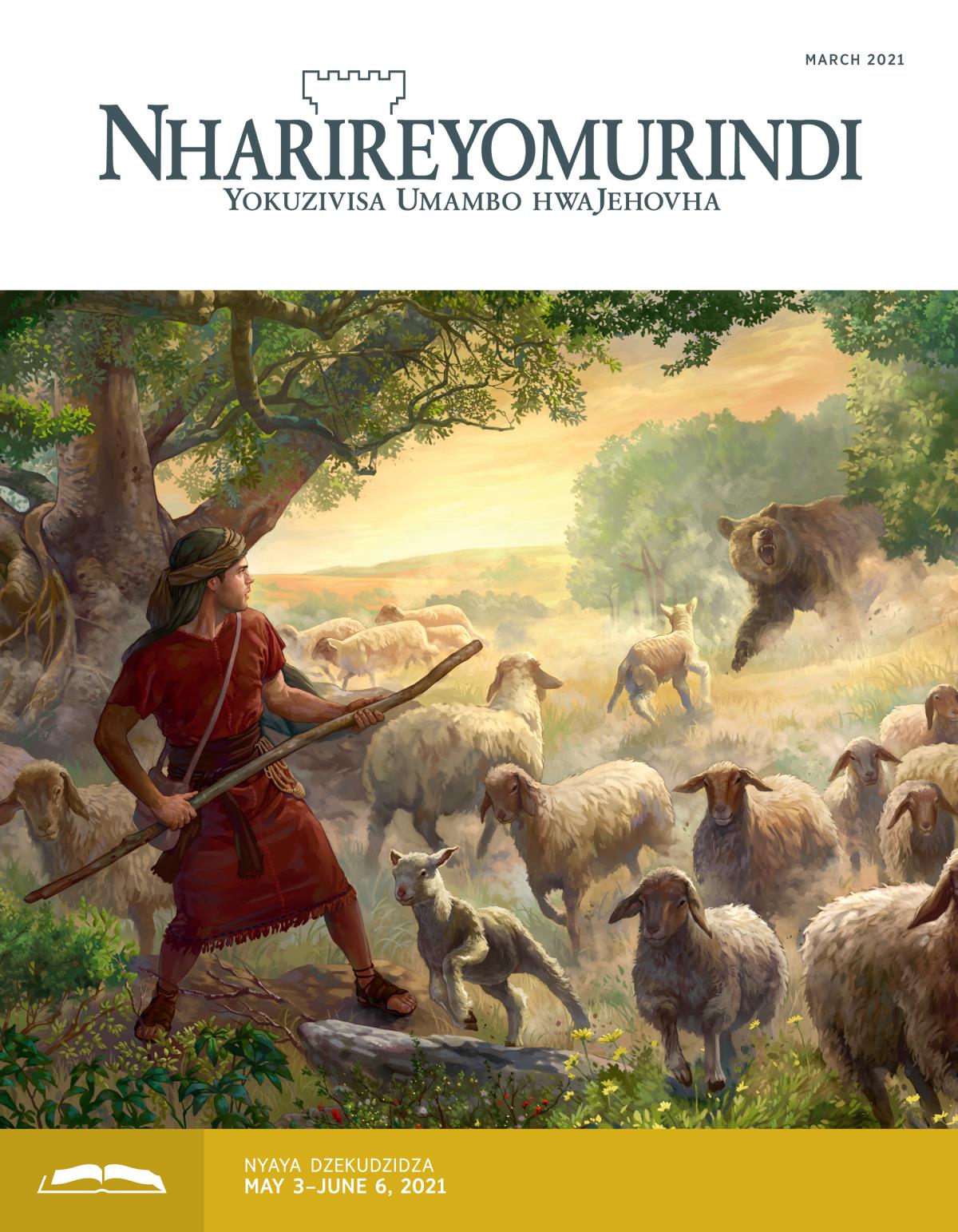 Nharireyomurindi Yekudzidza, March 2021.