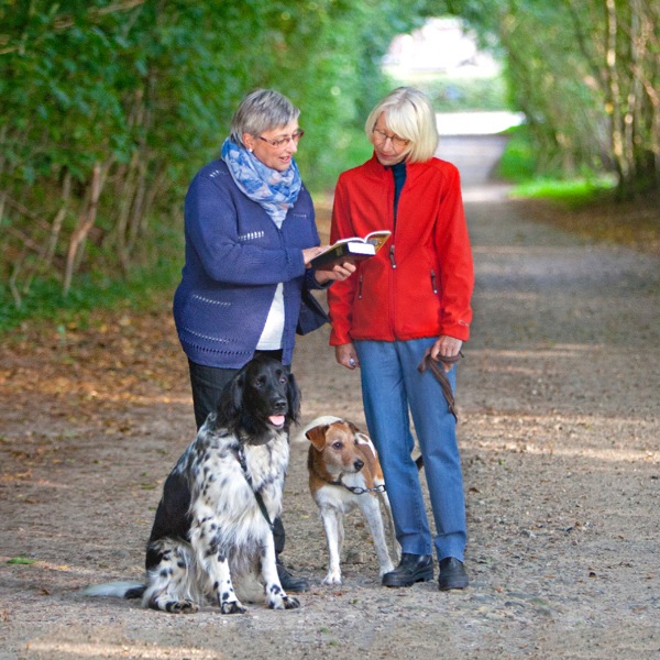 Mufananidzo uri papeji 68