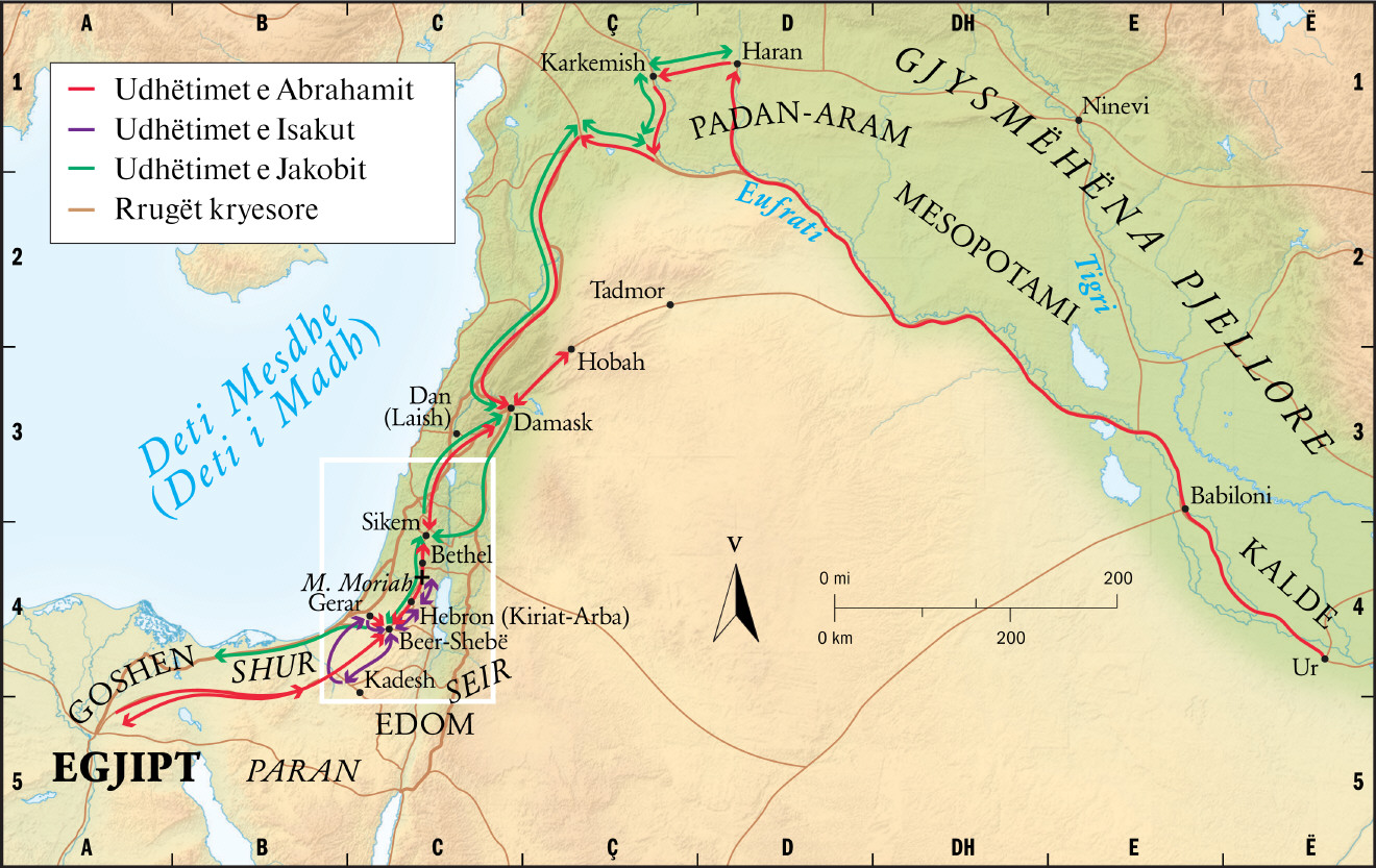 Patriarkët (pamje e përgjithshme)