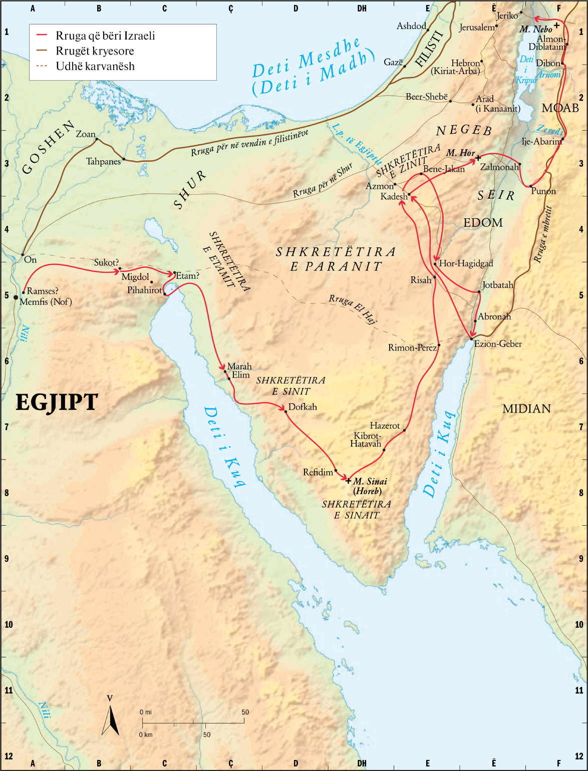 Rruga e Daljes nga Egjipti