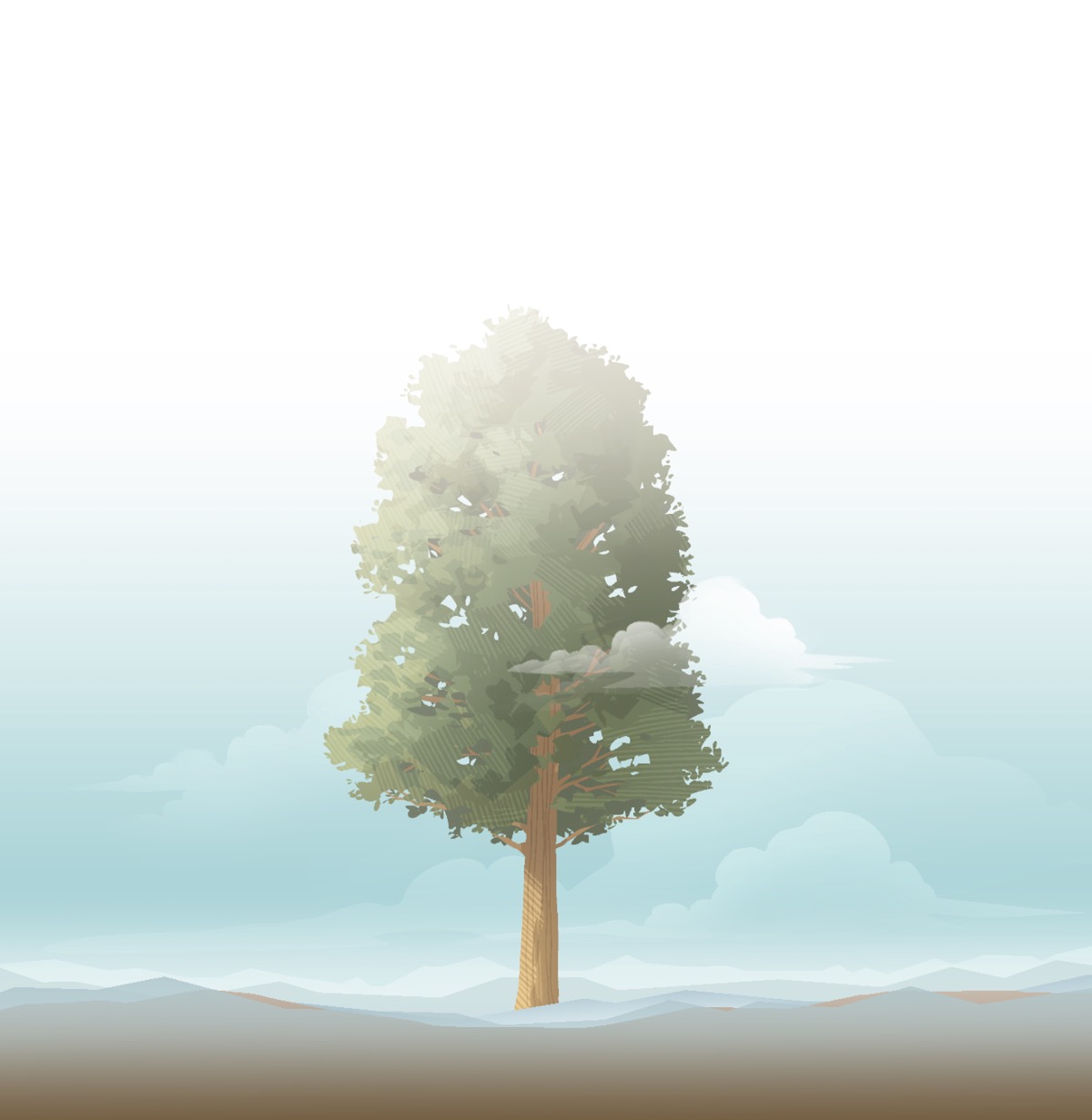 Një pemë e stërmadhe.