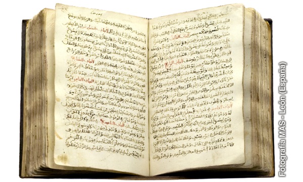 Një kopje e hapur e përkthimit në arabisht të Ungjijve