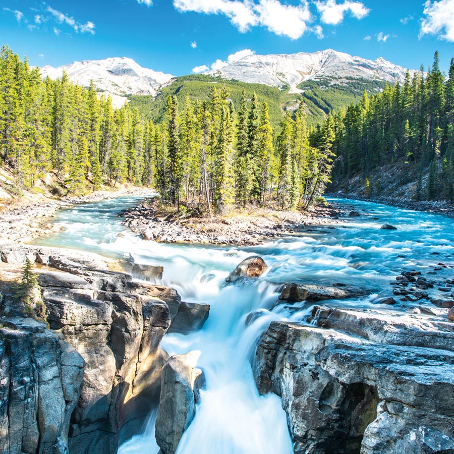 Umfula ugeletela ku-waterfall. Lomfula utungeletwe tintsaba letinesitfwatfwa kanye nelihlatsi.