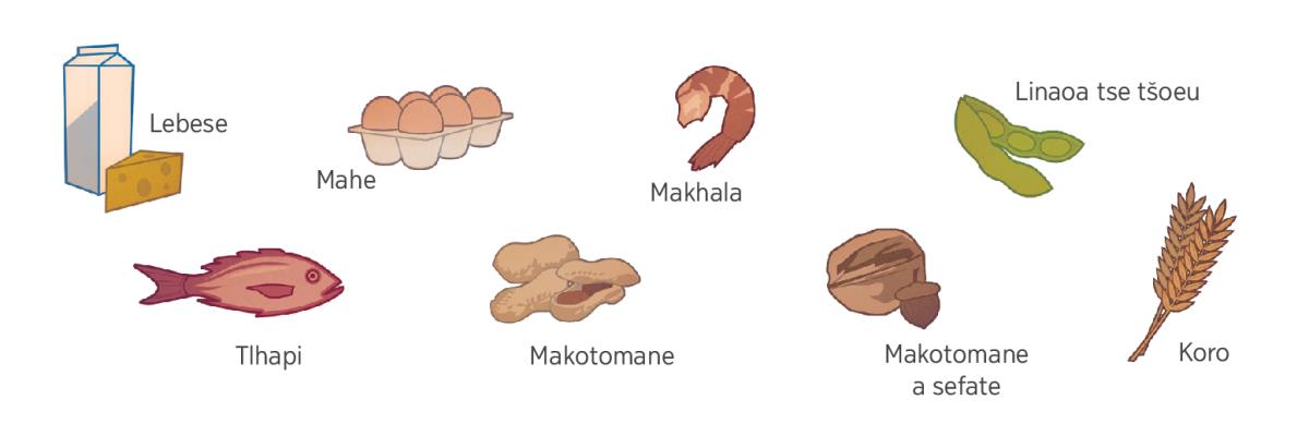 Lebese, mahe, makhala, linaoa tse tšoeu, tlhapi, makotomane, makotomane a sefate le koro