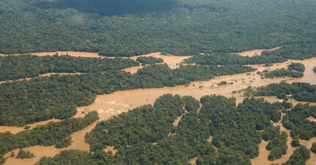 Foto e nkiloeng sebakeng e bontšang Noka ea Maroni le moru oa Amazon.