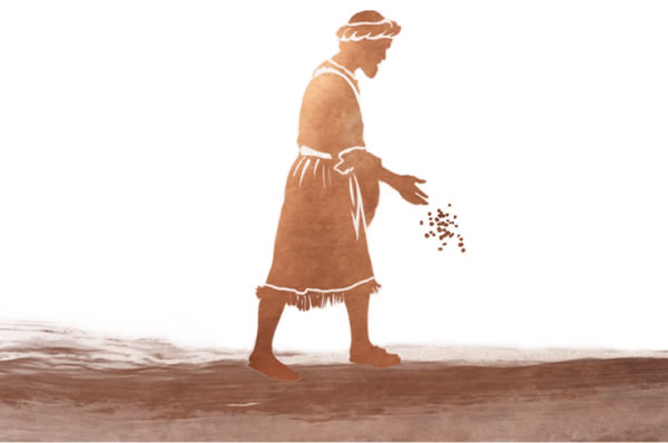 Motho o ile a jala peō e ntle