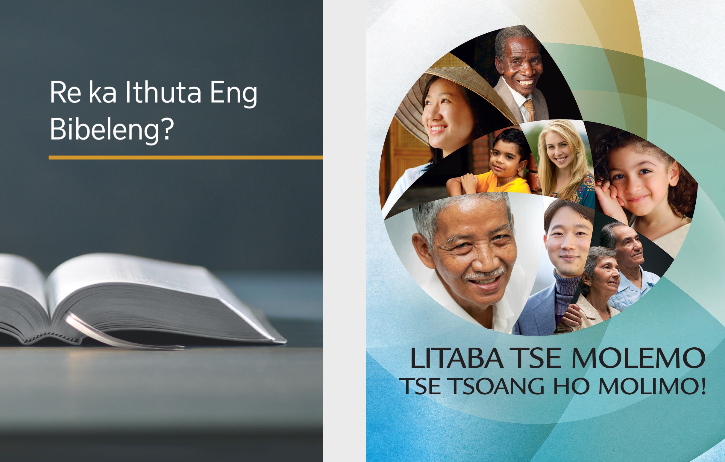 The book ‘What Can the Bible Teach Us?’ and the brochure ‘Good News From God!’