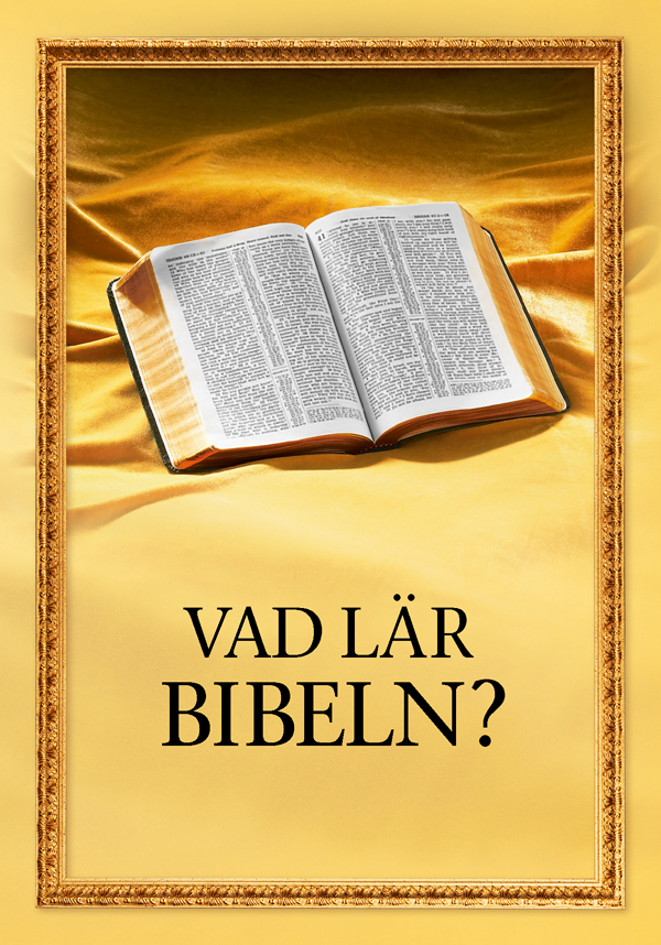 En öppen bibel och titeln på boken ”Vad lär Bibeln?”