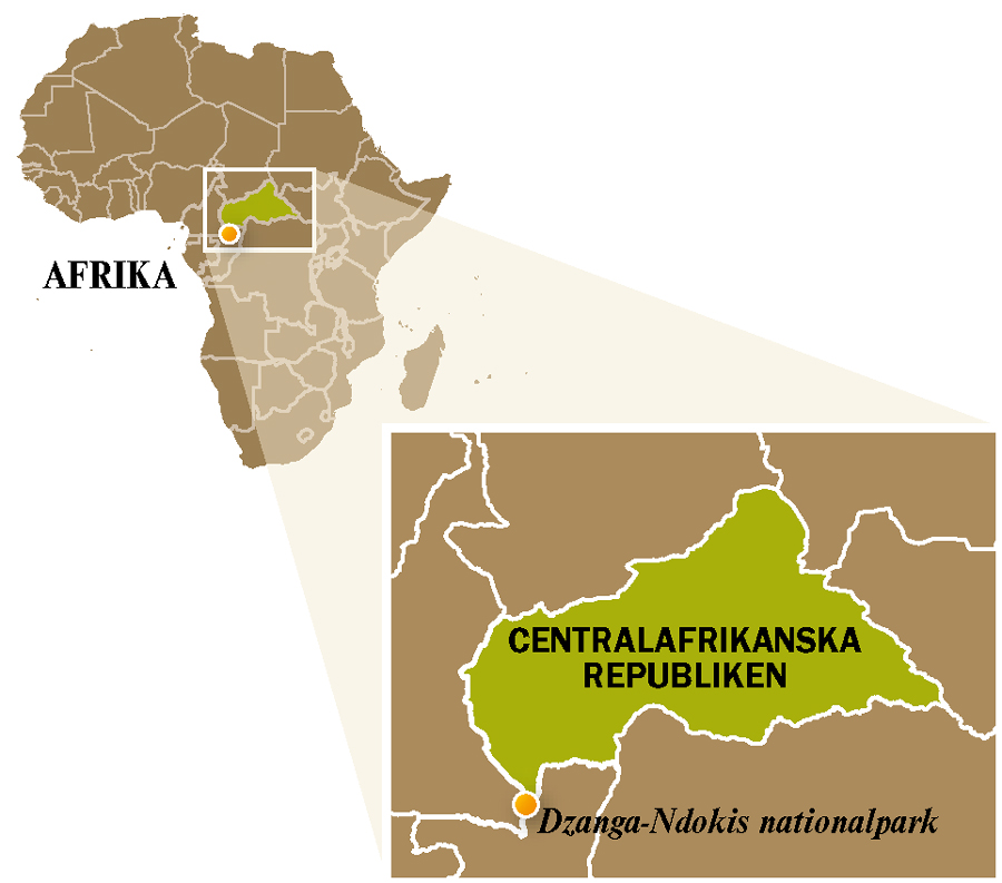 En karta över Centralafrikanska republiken