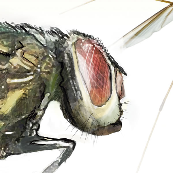 [Mchoro/Picha katika ukurasa wa 11]