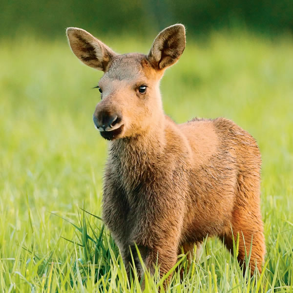 [Picha katika ukurasa wa 9]