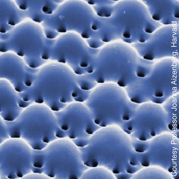 [Picha katika ukurasa wa 16]