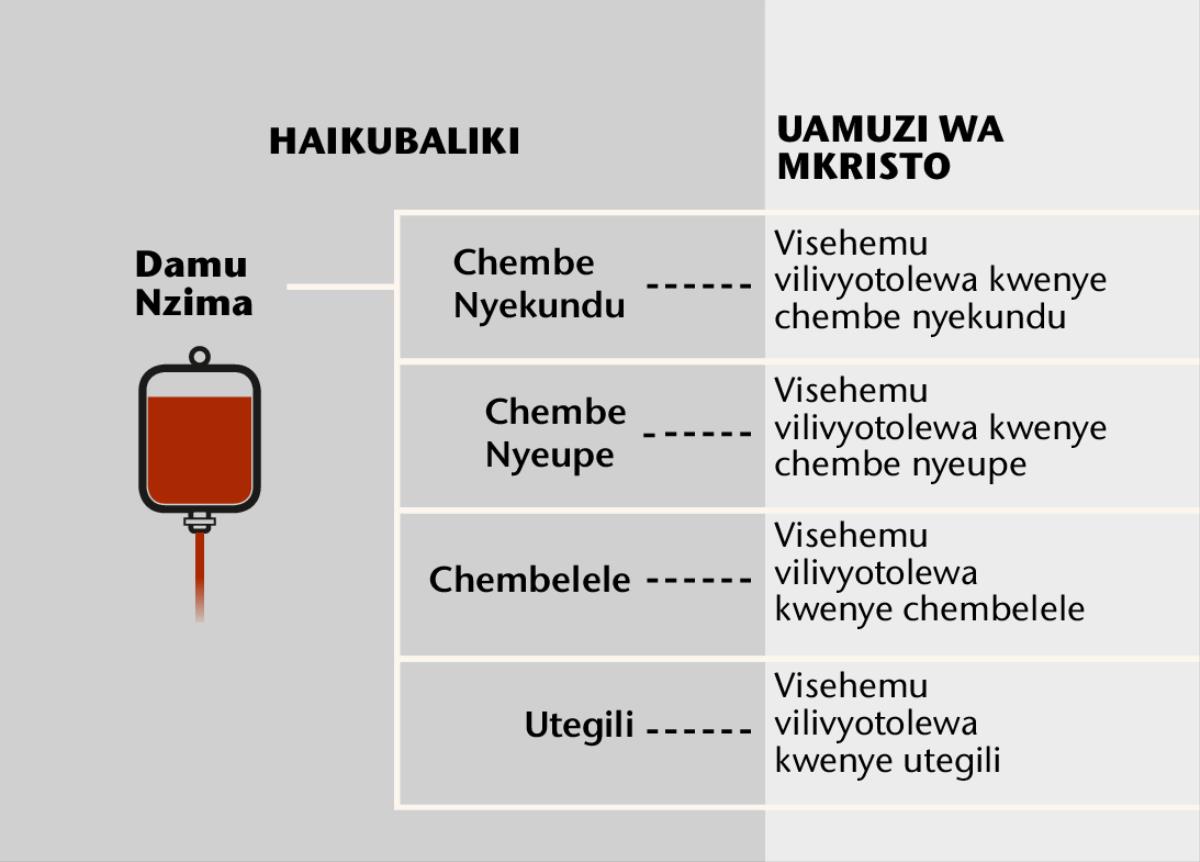 Damu, sehemu nne kuu za damu, na visehemu vya damu