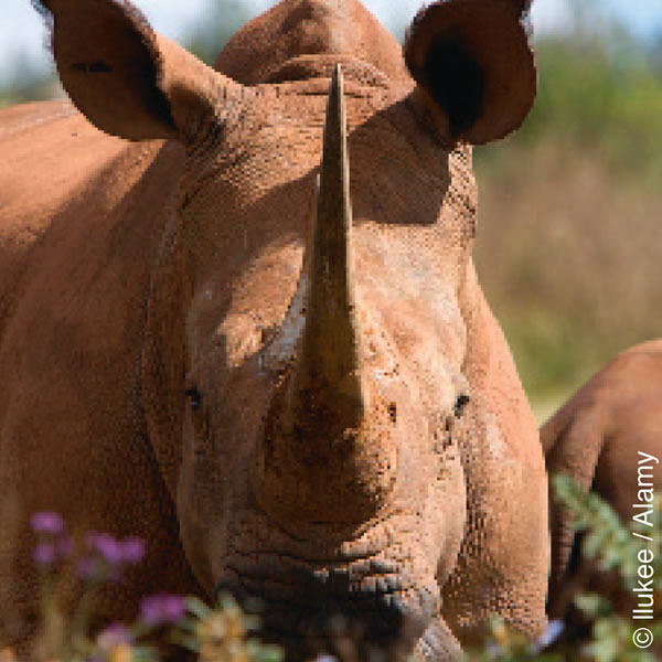 [பக்கம் 3-ன் படம்]