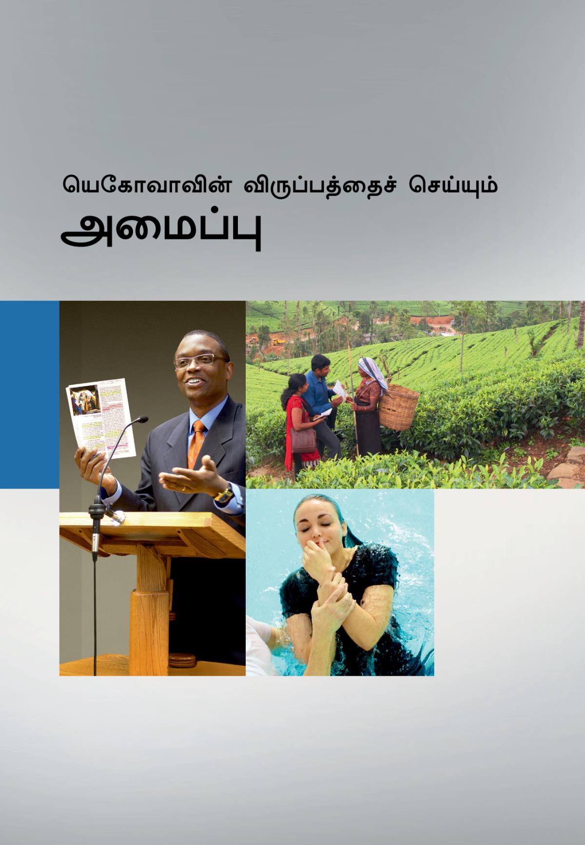 யெகோவாவின் விருப்பத்தைச் செய்யும் அமைப்பு