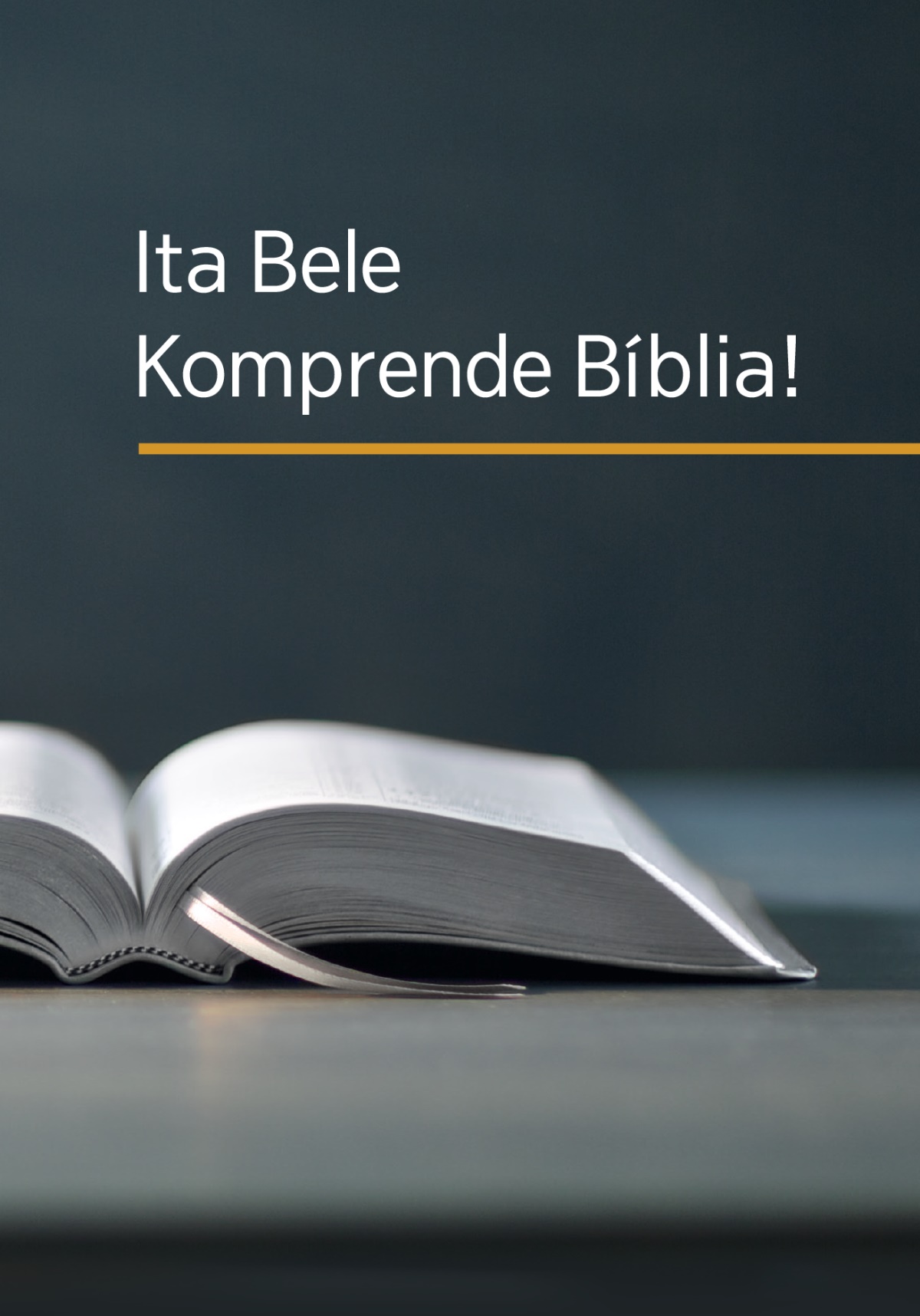 What Can the Bible Teach Us?