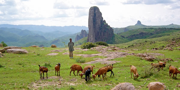 [Dezeñu iha pájina 12]