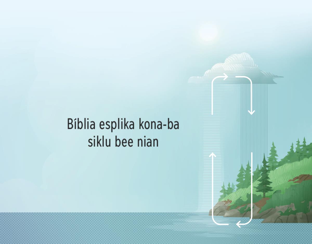 Bíblia esplika kona-ba siklu bee nian. Seta hatudu siklu bee nian husi rai no atmosfera.