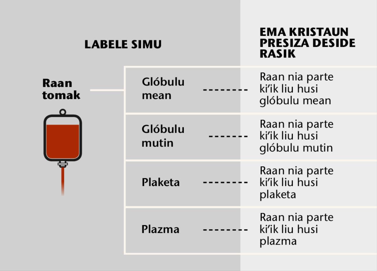 Raan ho ninia parte importante haat no parte kiʼik liu