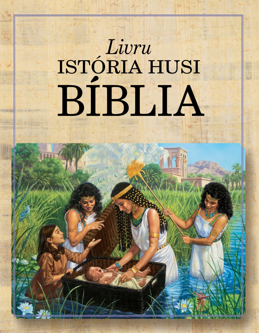 kulit ba Livru Istória husi Bíblia