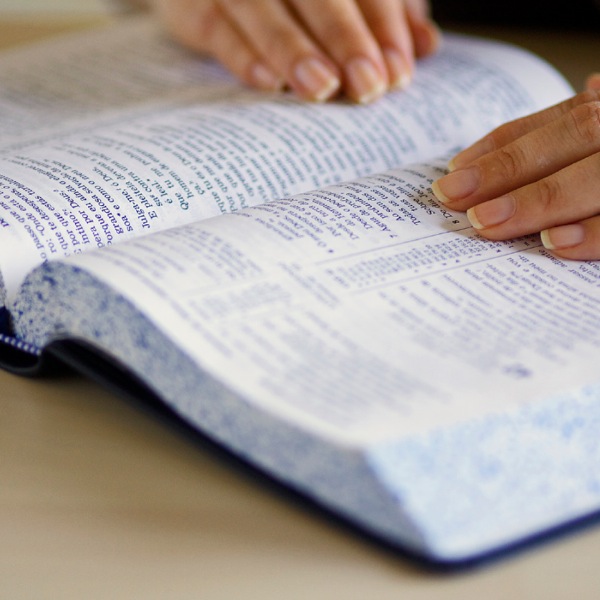 [Dezeñu iha pájina 7]