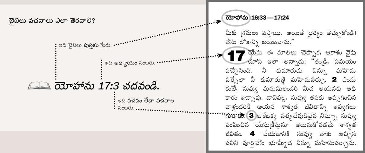 బైబిలు లేఖనం ఉదాహరణ