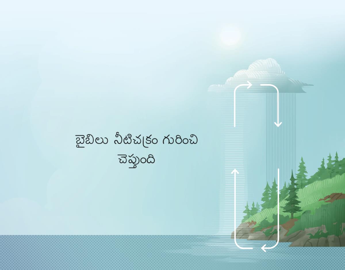 బైబిలు నీటిచక్రం గురించి చెప్తుంది. నీళ్లు భూమ్మీద నుండి ఆకాశానికి ఎలా వెళ్తాయో, మళ్లీ ఆకాశం నుండి భూమ్మీదికి ఎలా వస్తాయో బాణం గుర్తులు చూపిస్తున్నాయి.