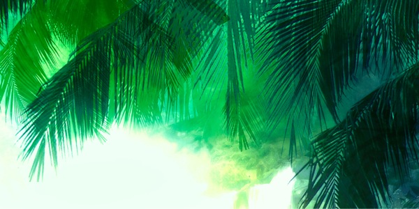 [14వ పేజీలోని చిత్ర]