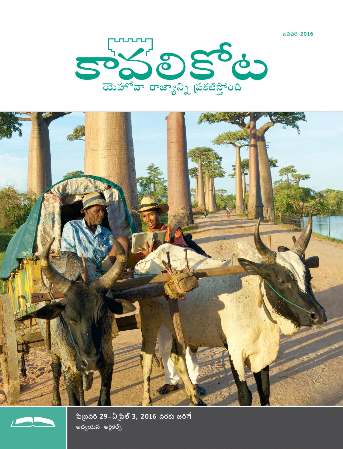 కావలికోట అధ్యయన ప్రతి, జనవరి 15, 2016 ముఖచిత్రం