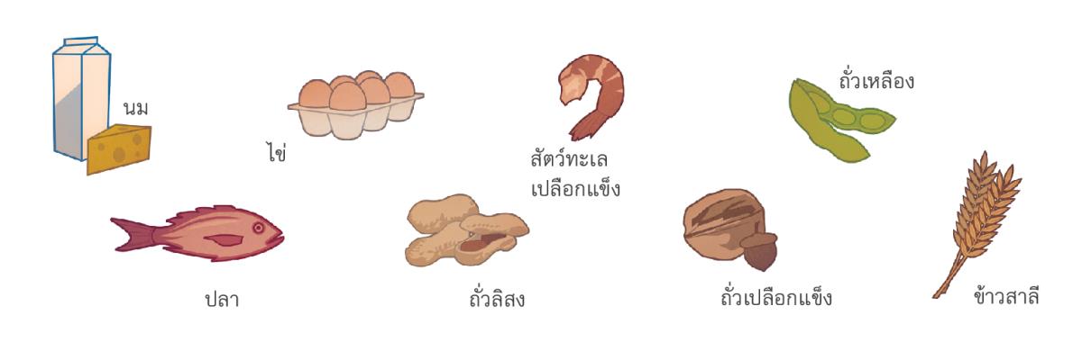นม ไข่ สัตว์​ทะเล​เปลือก​แข็ง ถั่ว​เหลือง ปลา ถั่ว​ลิสง ถั่ว​เปลือก​แข็ง และ​ข้าว​สาลี
