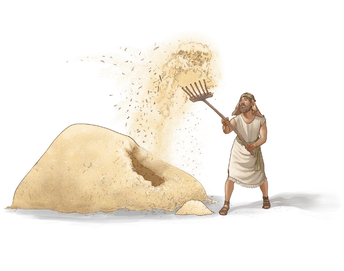 ฝัด​ข้าว