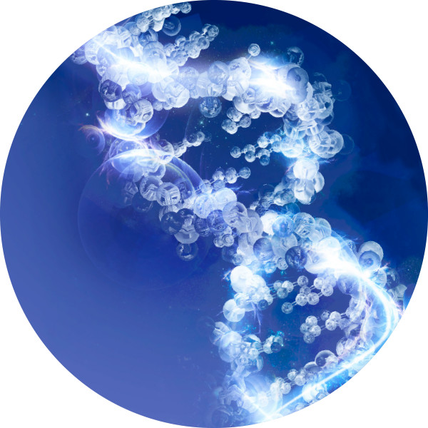 ดีเอ็นเอ