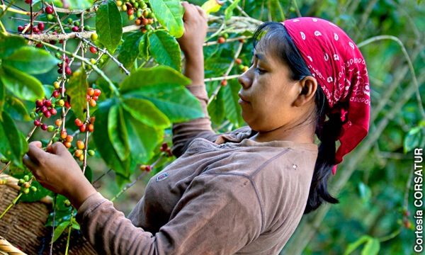 ሓንቲ ሰበይቲ ቡን ክትኣሪ ኸላ