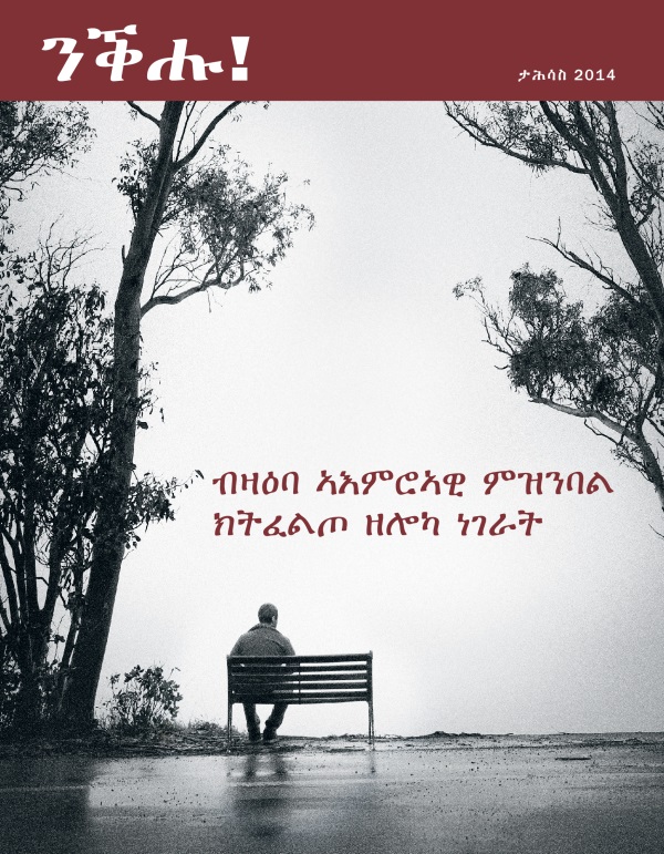 ገበር መጽሔት ንቕሑ!፡ ታሕሳስ 2014 | ብዛዕባ ኣእምሮኣዊ ምዝንባል ክትፈልጦ ዘሎካ ነገራት
