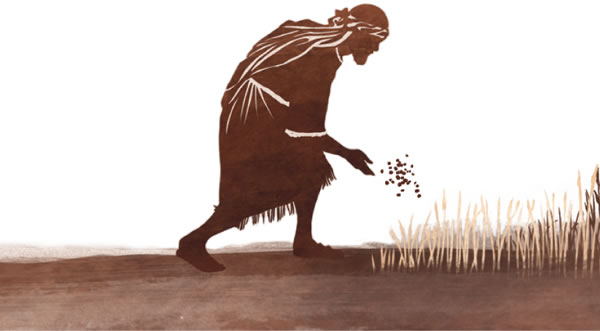 ጸላኢ ኽርዳድ ይዘርእ