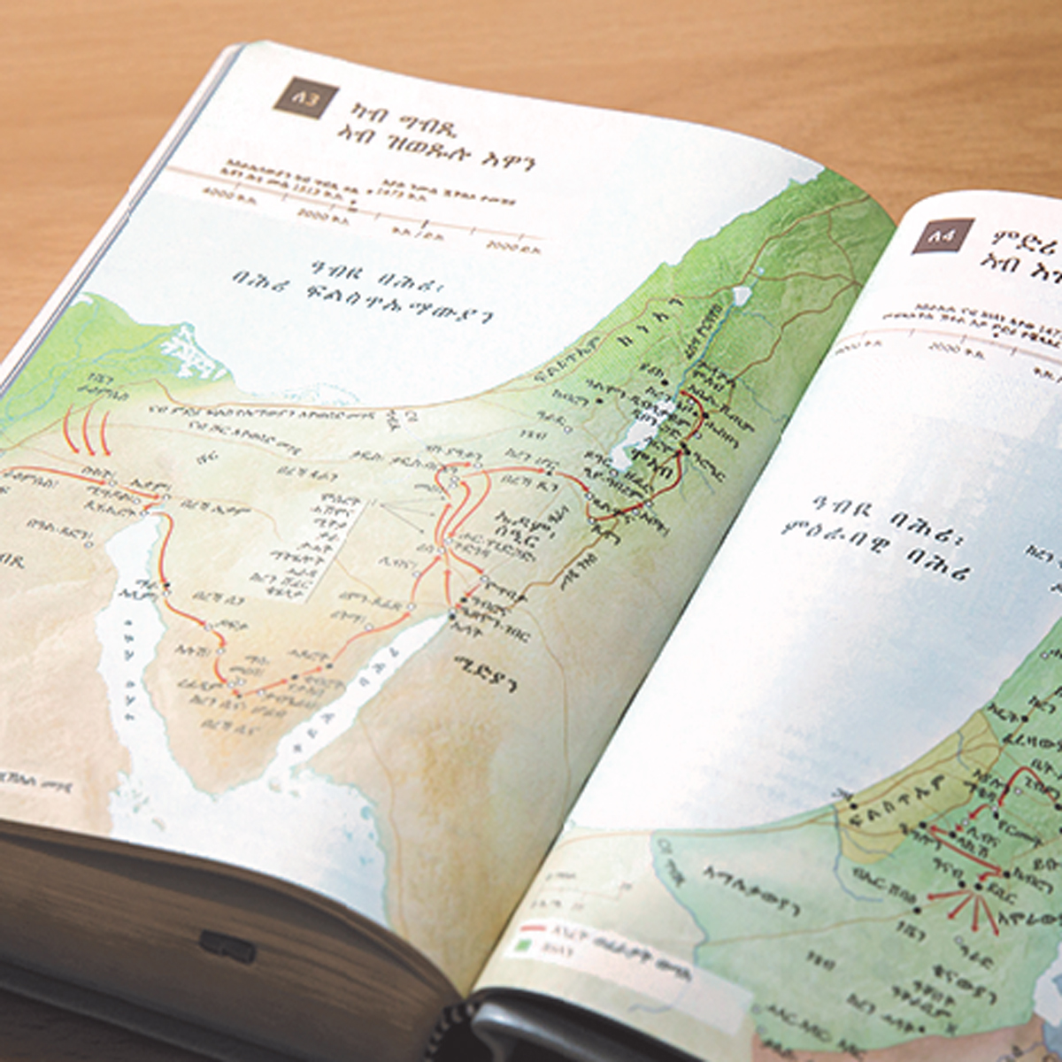 ኣብ ገጽ 12 ዘሎ ስእሊ