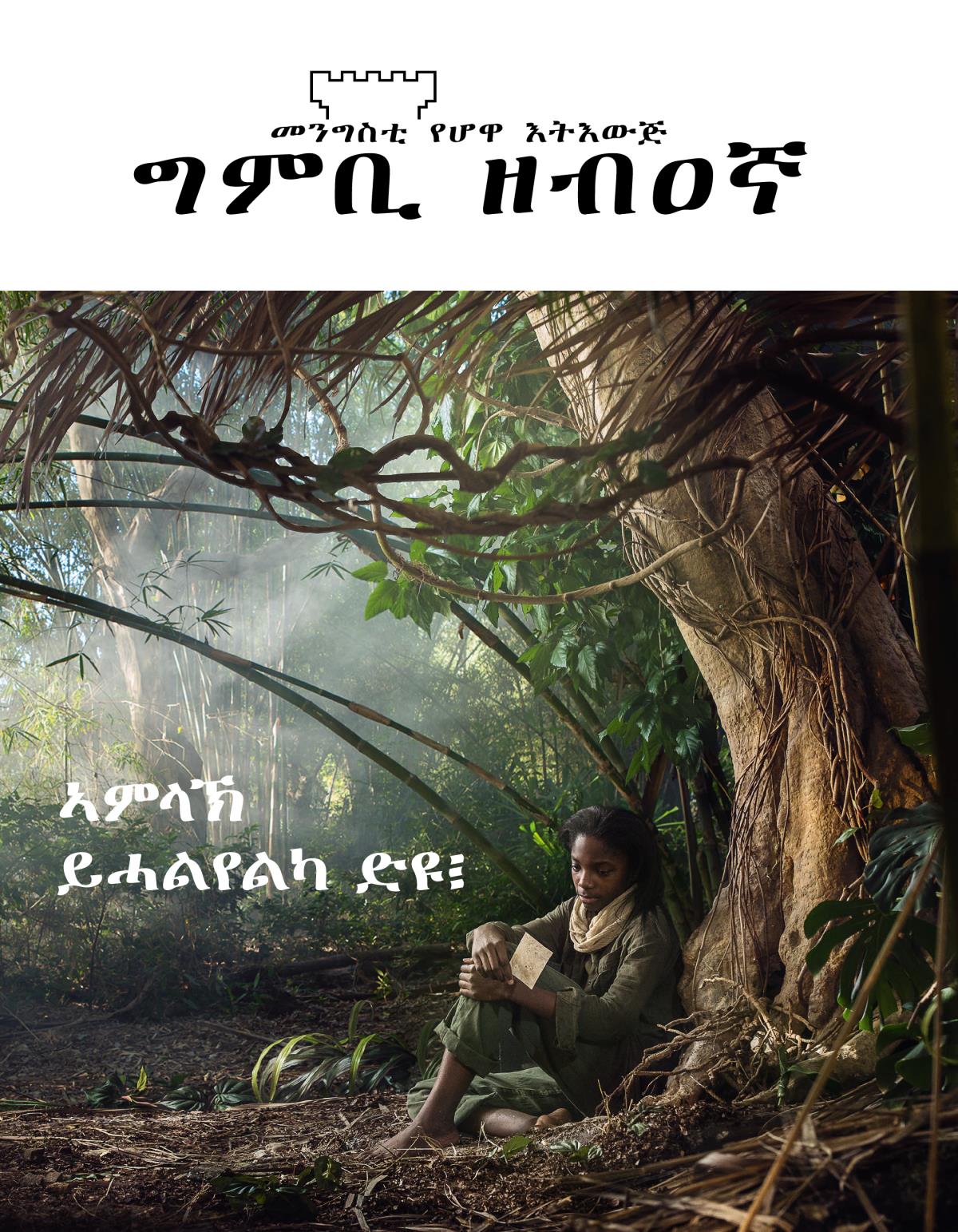 መጽሔት ግምቢ ዘብዐኛ፡ ቍ. 3, 2018 | ኣምላኽ ይሓልየልካ ድዩ፧