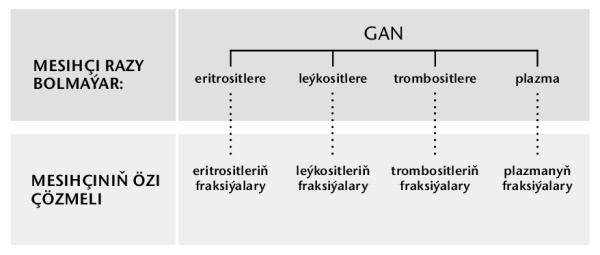 Gan, onuň esasy dört bölegi we ganyň fraksiýalary