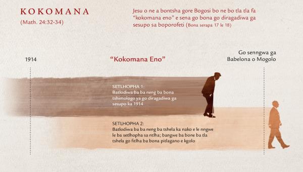 Lenaane la Ditiragalo le le bontshang “kokomana eno” e e tlhalosiwang mo boporofeting jwa ga Jesu jo bo mo go Mathaio 24:32-34