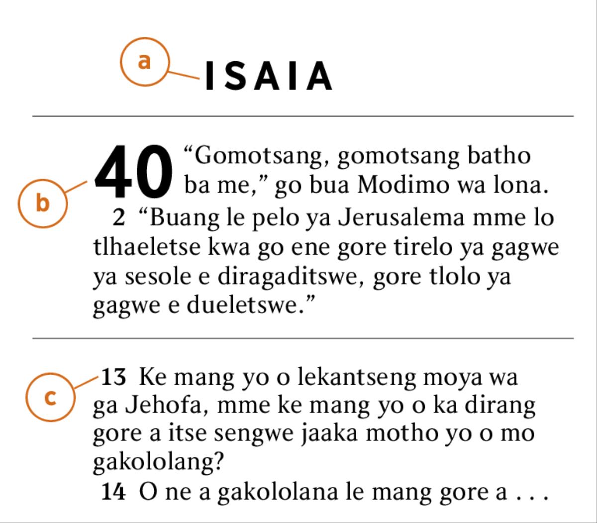 Tshedimosetso ya Baebele e e tshwailweng go go bontsha gore o ka lemoga jang a) buka ya Baebele, b) kgaolo ya yone le c) temana ya yone