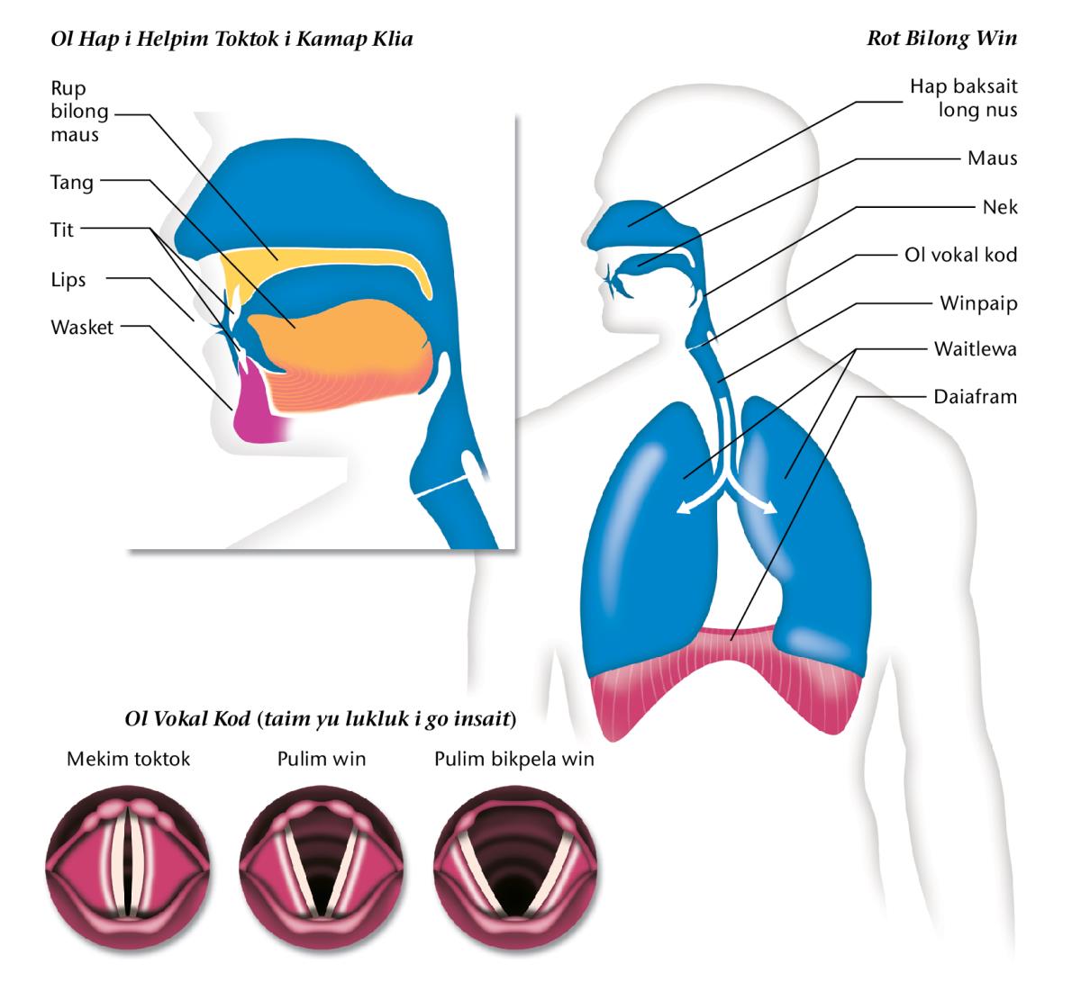 [Ol Sat long pes 183]
